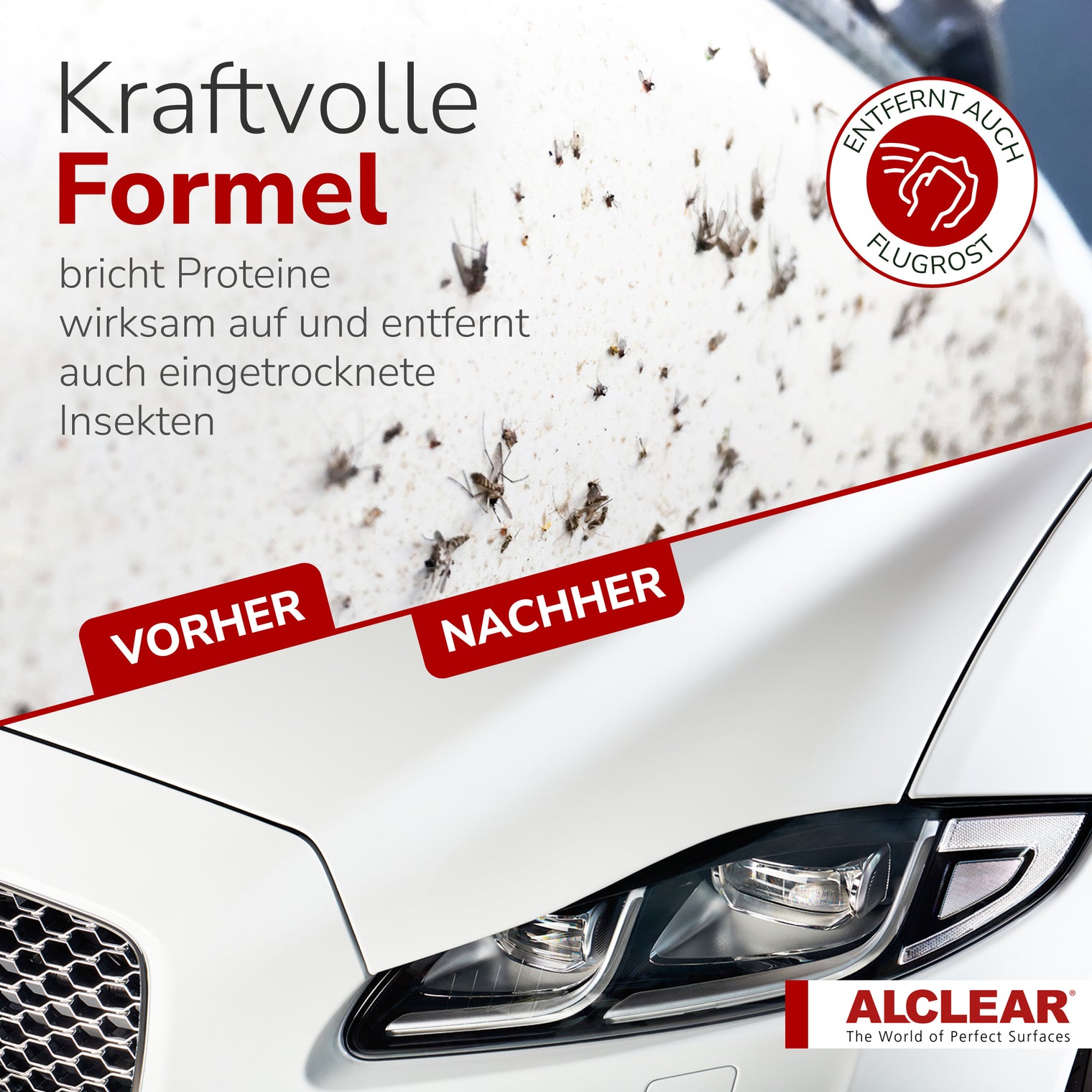 Insektenentferner extra für Auto & Motorrad – 1000 ml