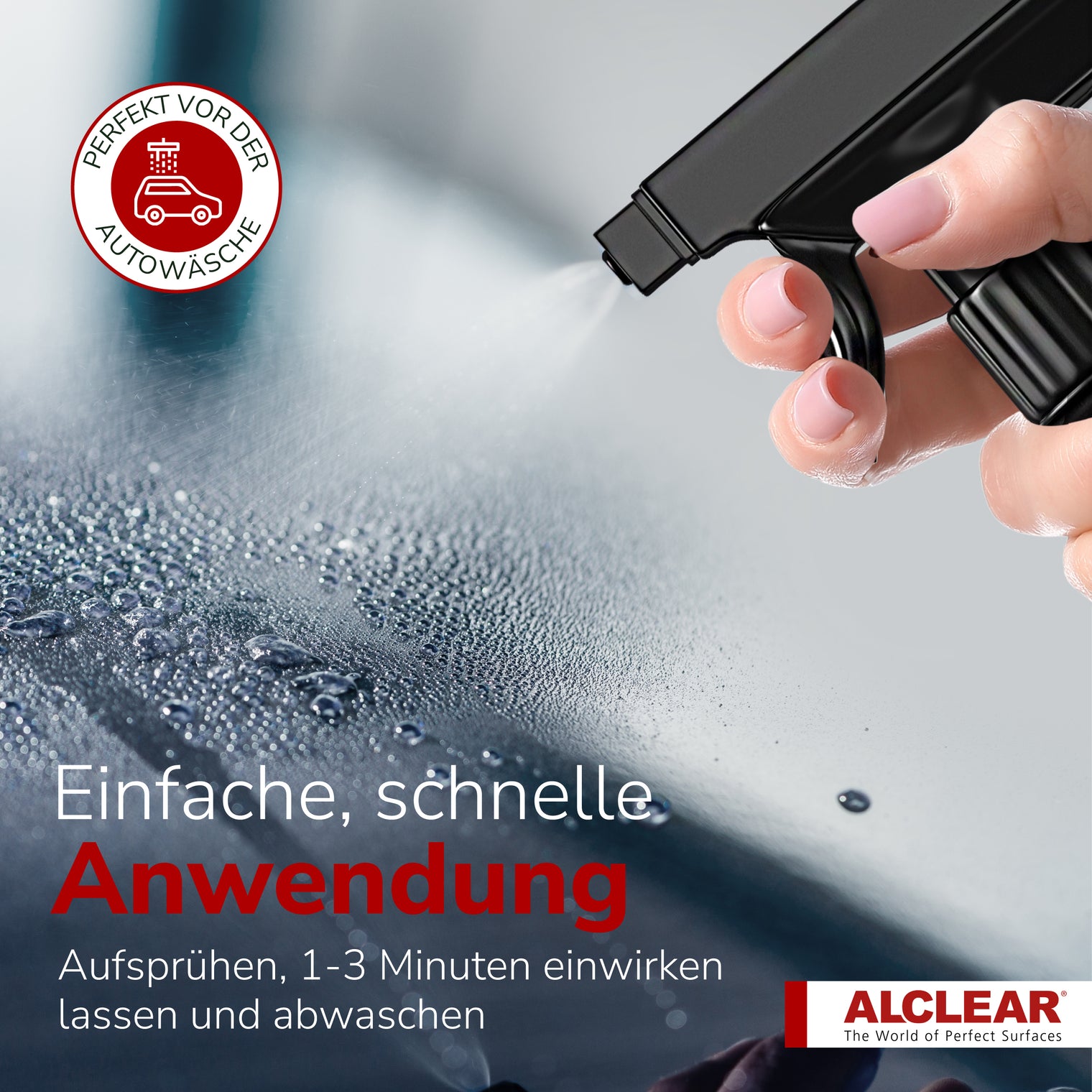 Insektenentferner extra für Auto & Motorrad – 1000 ml
